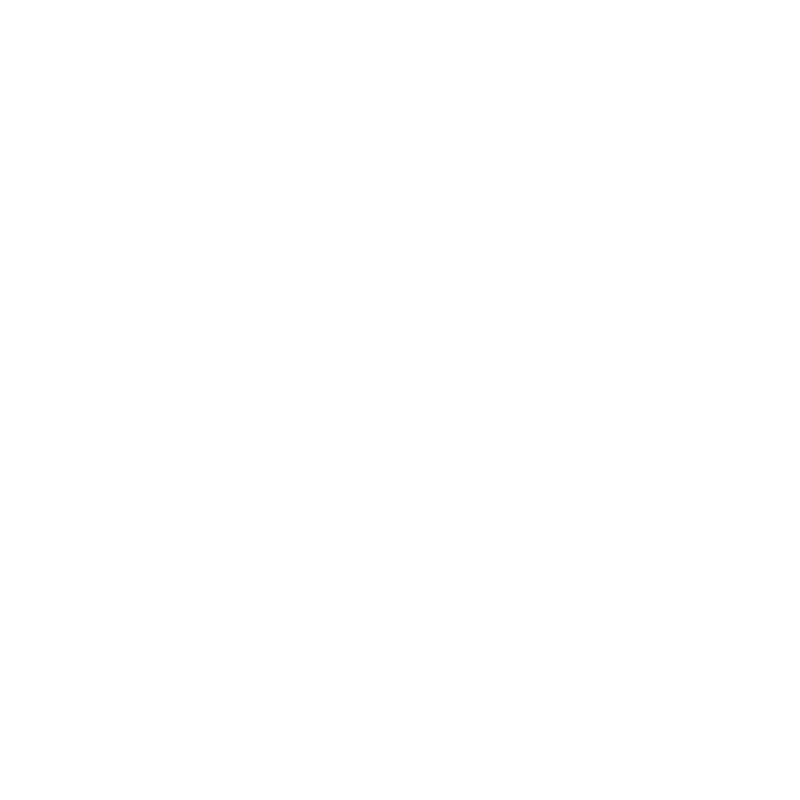 TL Services logo